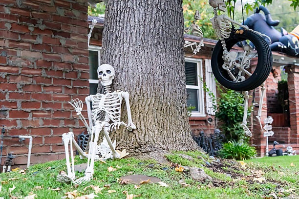 Halloween yard decorations with skeletons hanging on a tree and sitting nearby, creating a humorous spooky scene in a residential outdoor setting.