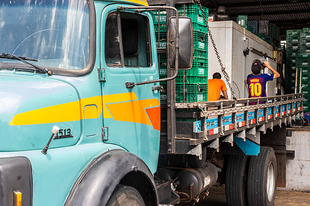 Marilia, Sao Paulo, Brazil. September,19,2025. Workers load a truck with plastic crates at a fruit warehouse, showing the daily routine of food distribution and human labor in agricultural logistics