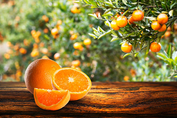 istock Fresh Orange Juice and Orange Fruit 2244082691
