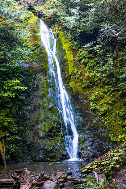 istock Stunning Madison Falls in Lush Green Forest 2244088115