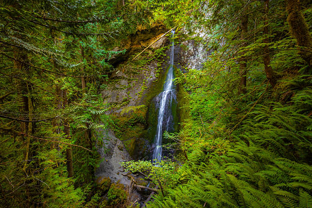 istock Stunning Marymere Falls Flowing Through Moss Forest 2244088378