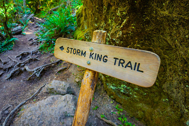 A close-up view captures the distinctive Mount Storm King directional trail sign, marking the start of the difficult ascent near Lake Crescent in Olympic National Park.