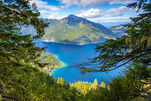 istock Panoramic View of Lake Crescent from Mount Storm King 2244088441
