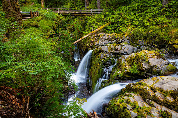 istock Sol Duc Falls Flowing Through Canyon Scenic View 2244088565