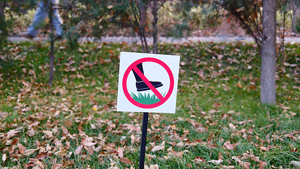 istock Prohibition sign on grass in park area 2244089926