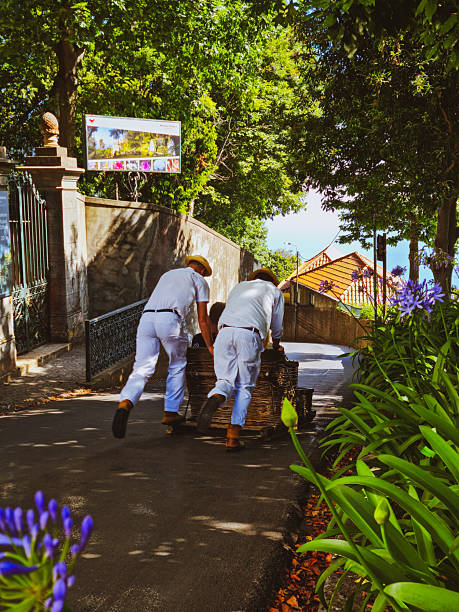 July,15,2025.Funchal,Portugal. Two \