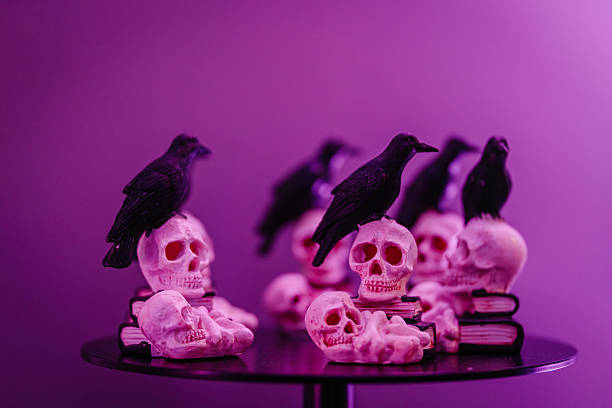 istock Dark-themed display featuring multiple skulls with black crow figurines perched on top, surrounded by books, creating a mysterious and eerie atmosphere for artistic inspiration 2244096985