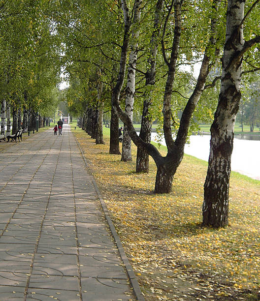 city park in autumn at september