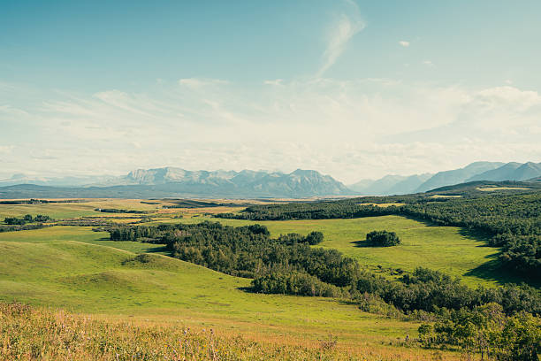 A landscape of rolling green hills meets distant mountains under a soft sky. Pincher Creek, AB