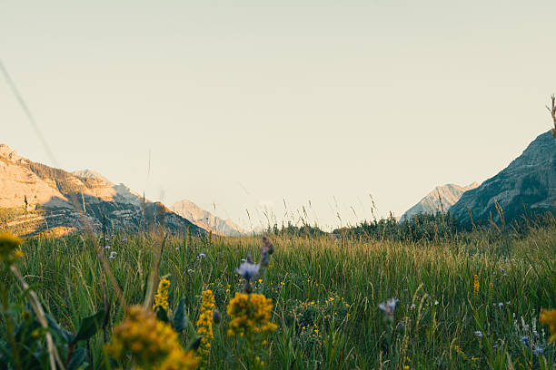 Aerial view of mountain range and meadow at sunrise, valley below, Ticino, Swiss Alps