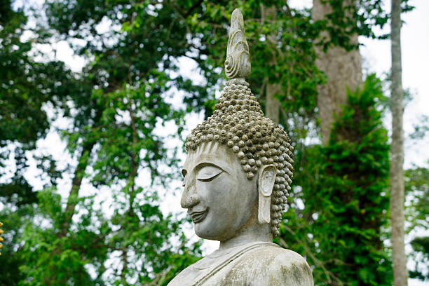 A serene stone Buddha statue stands gracefully among lush greenery, creating a peaceful atmosphere perfect for meditation, reflection, and spiritual connection.