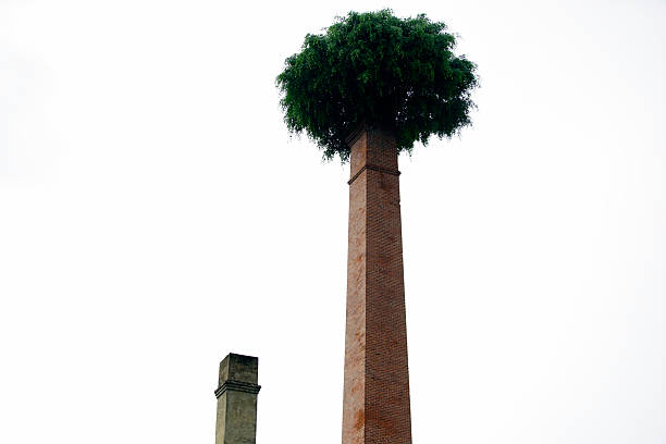 istock Unusual industrial chimney with greenery resembling a tree canopy 2244104493