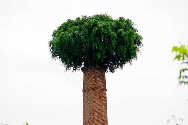A plume of smoke gently rises from a brick chimney on the rooftop of a white rural house, set against a forested hillside in full autumn colors. The scene conveys warmth, coziness, and seasonal change, capturing a quiet moment in a peaceful countryside setting.