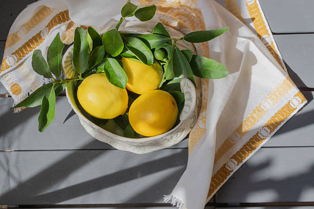 Lemons with leaves in dappled light from above