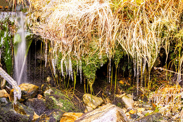 A cold snap that has stopped the flow of water as it drips from the foliage on the land, turning it into icicles.