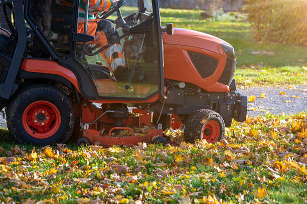 istock Leaf removal with a ride-on mower in a public park 2244109572