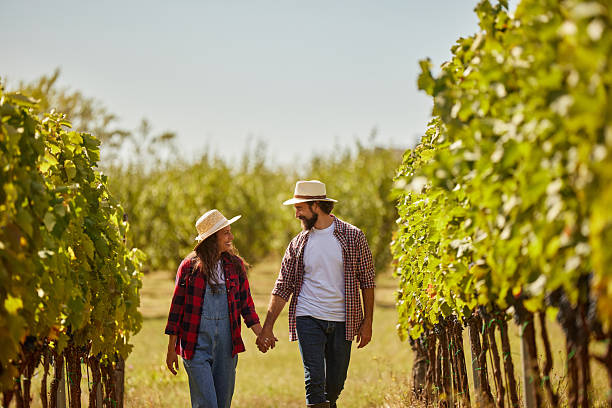 istock Farming couple holding hands walking in vineyard 2244110621
