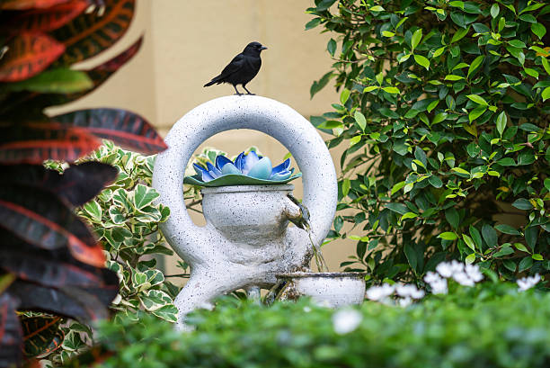 A serene garden scene featuring an elegant fountain adorned with a succulent plant, while a black bird sits gracefully on top, surrounded by lush greenery.