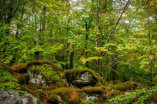 paysage coloré d’automne en Corse