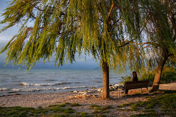 landscape  view from the coast of largest lake Garda in Italy