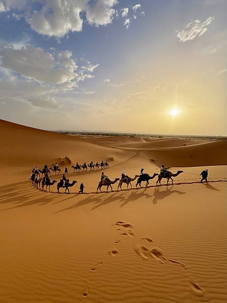 istock Camel Caravan Crossing Desert at Sunset 2244114477