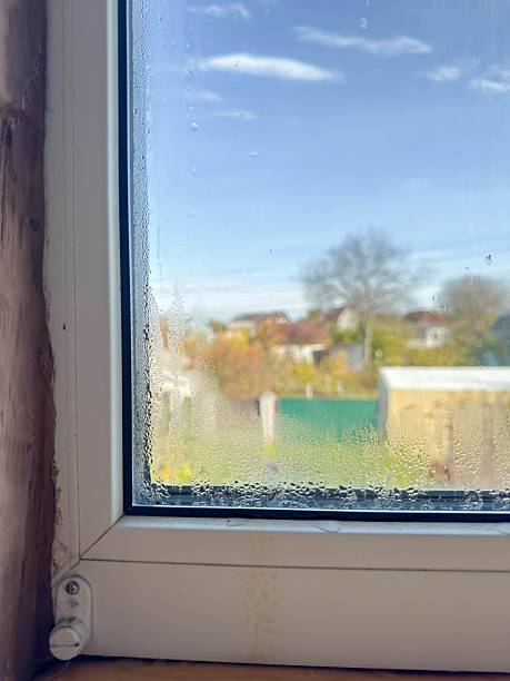istock Black Mold and Condensation in Corner of PVC Window Frame Indicating Humidity Issues 2244116182