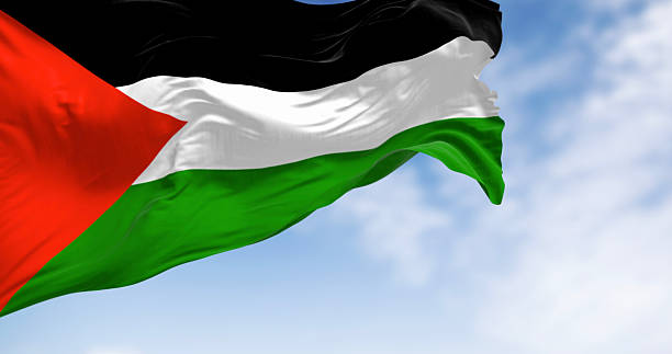 istock Palestine national flag waving on a clear day 2244120433