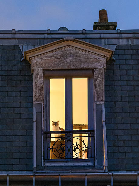 A cat sits quietly behind a glowing window on a Paris rooftop at dusk. The warm indoor light contrasts with the cool blue evening sky, creating a peaceful urban atmosphere.