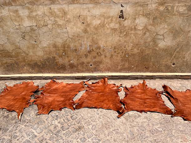 Brown animal leather hides are drying in direct sunlight on stone pavement against a cracked wall, showcasing the traditional tanning process in Marrakech, Morocco