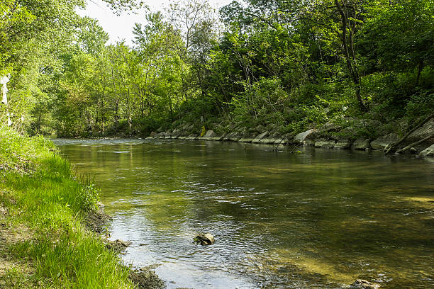 istock stream, river, canal, creek, stream, greenery, vegetation, shade, river park, nature, ecosystem 2244127275