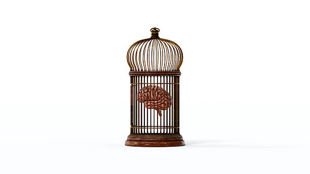 istock Brain trapped inside a metal cage, representing confinement, limited thinking, mental restriction, and lost freedom, 3d render 2244129226