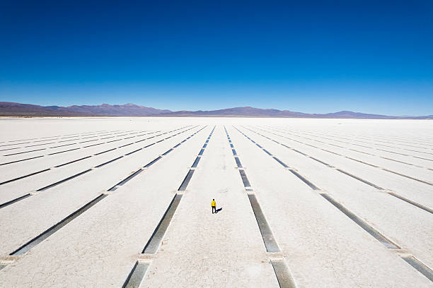 istock Tourist exploring salt flats, Argentina 2244130887