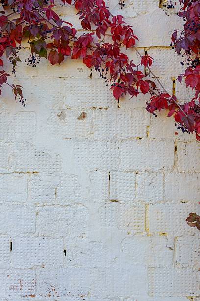 istock White brick wall with grid-like pattern and signs of wear. 2244132015