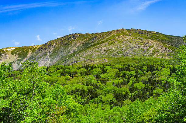 Mount Hayachine in June