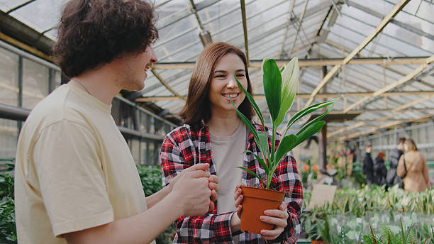 istock Young couple smiling while selecting a houseplant at a greenhouse on a sunny day 2244136764