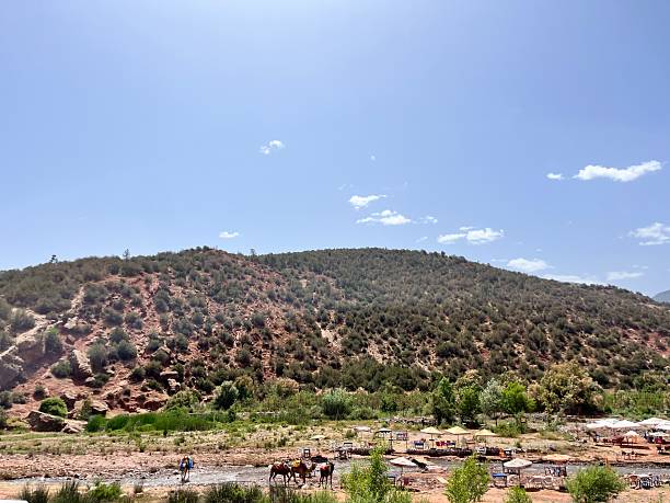 Ourika Valley river landscape offer a serene setting for visitors seeking relaxation and nature, with tables and umbrellas set along the water amidst a sunny, desert-like mountainous landscape