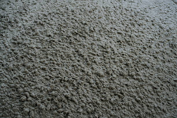 High-Resolution Texture of Freshly Poured Wet Concrete Surface Close-Up: Ideal for Backgrounds, Construction, and Architectural Design Concepts