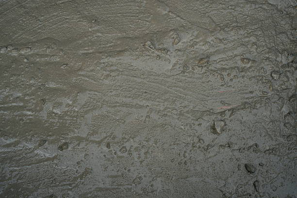 High-Resolution Texture of Freshly Poured Wet Concrete Surface Close-Up: Ideal for Backgrounds, Construction, and Architectural Design Concepts