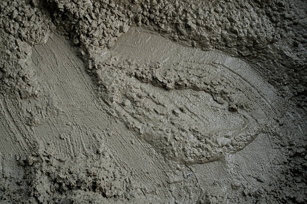 istock High-Resolution Texture of Freshly Poured Wet Concrete Surface Close-Up: Ideal for Backgrounds, Construction, and Architectural Design Concepts 2244140098