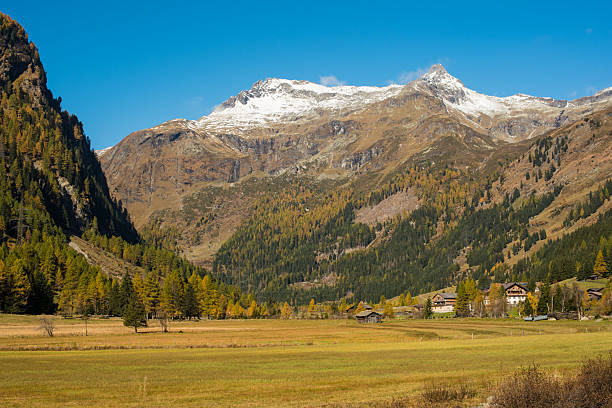 istock Alps Mountains with Green and Yellow Forest 2244140597