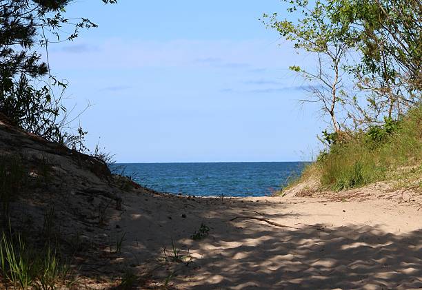 istock Dune Path to the Baltic Sea, Poland 2244144880
