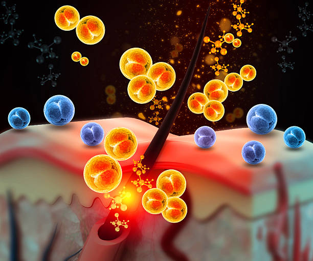 istock Human hair growth anatomy. Cell division. 3d illustration 2244144972