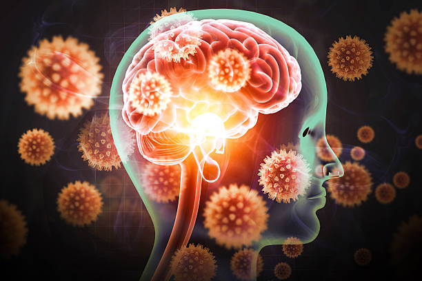 istock Brain viral infection, Viral meningitis and encephalitis. 3d illustration 2244145818