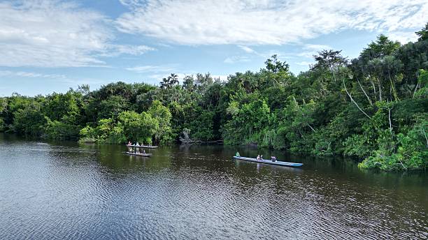 istock Drone View of Amazon Jungle with Reflections on a Tropical Lake 2244153599