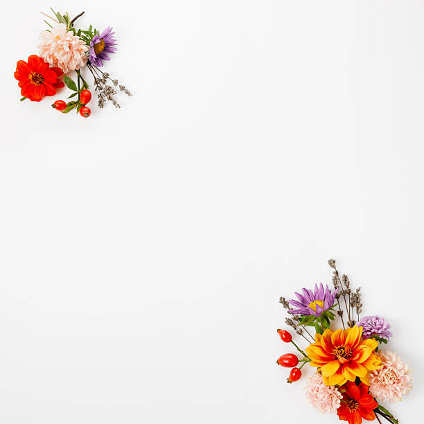 istock Autumn floral frame with asters, dahlias, lavender, rose hips on white square background, flat lay style with copy space, for thanksgiving, halloween, all saints day, autumn equinox, harvest festival 2244154374