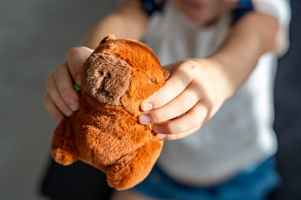 istock A plush capybara toy held in a child hands. The image reflects Gen Z love for internet-inspired mascots and the aesthetic comfort culture of soft toys. 2244157644
