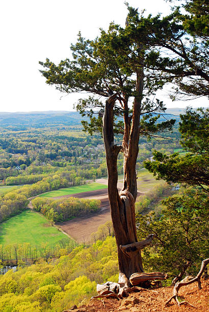 istock Tree on the edge of a cliff with rural landscape 2244163150