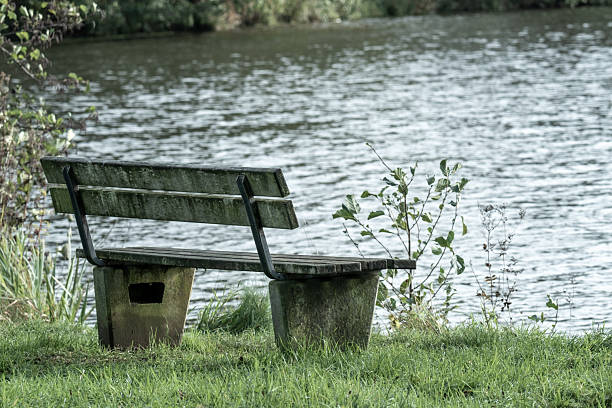 Wooden bench sitting by grassy lake shore offering quiet solitude and relaxation