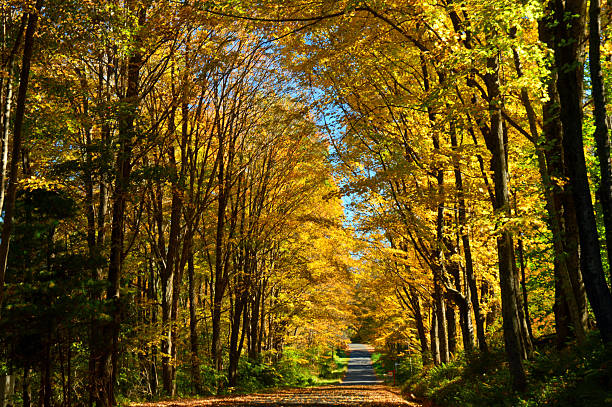 istock Country road travels through a fall landscape 2244163256