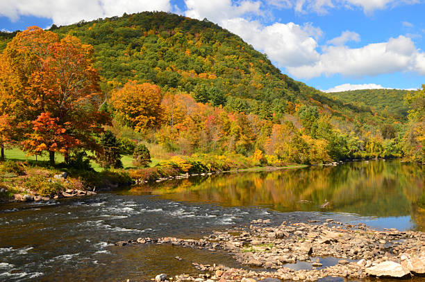 istock Autumn landscape with mountains and stream 2244163277